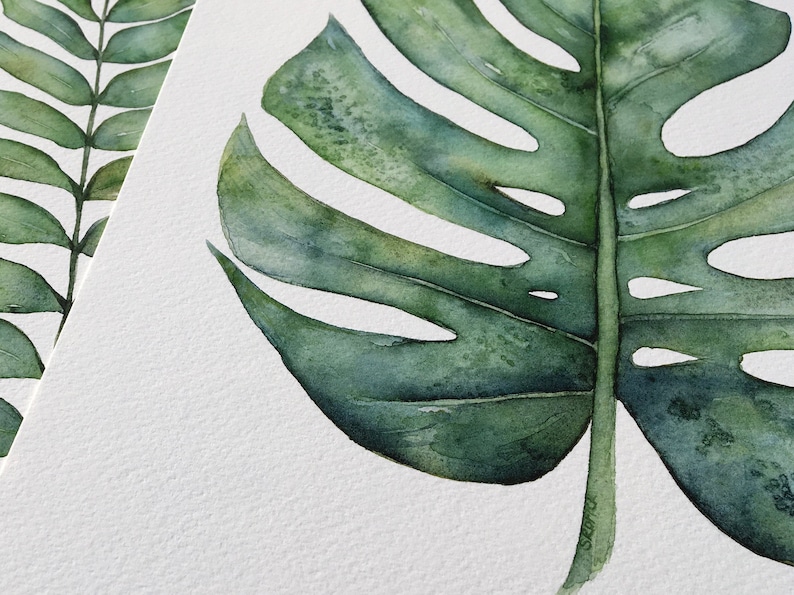 Botanical Art Print Set of 3 Prints in Square Format, 3 Piece Wall Art Banana Leaf, Monstera Leaf and Fern Watercolor Paintings 4x4 to 16x16 image 9