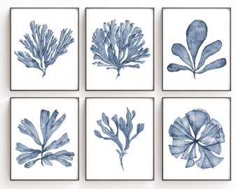 Wall Art Print Set of 6 Sea Fan Watercolor Paintings, Six Piece Botanical Prints, Navy Blue Coastal Decor, Nautical Seaside Lake House Decor