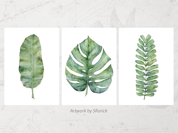 Set of 3 Plant Prints, 5x7 Inch Green Botanical Prints, Gallery Wall Art  Set of Watercolor Monstera, Fern, and Banana Leaf Artwork for Walls - Etsy