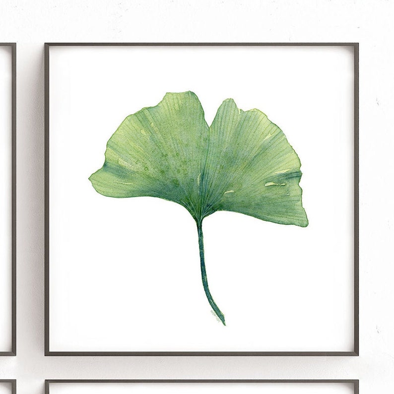 Square Wall Art Print Set of 4 Leaf Botanical Prints Greenery Etsy