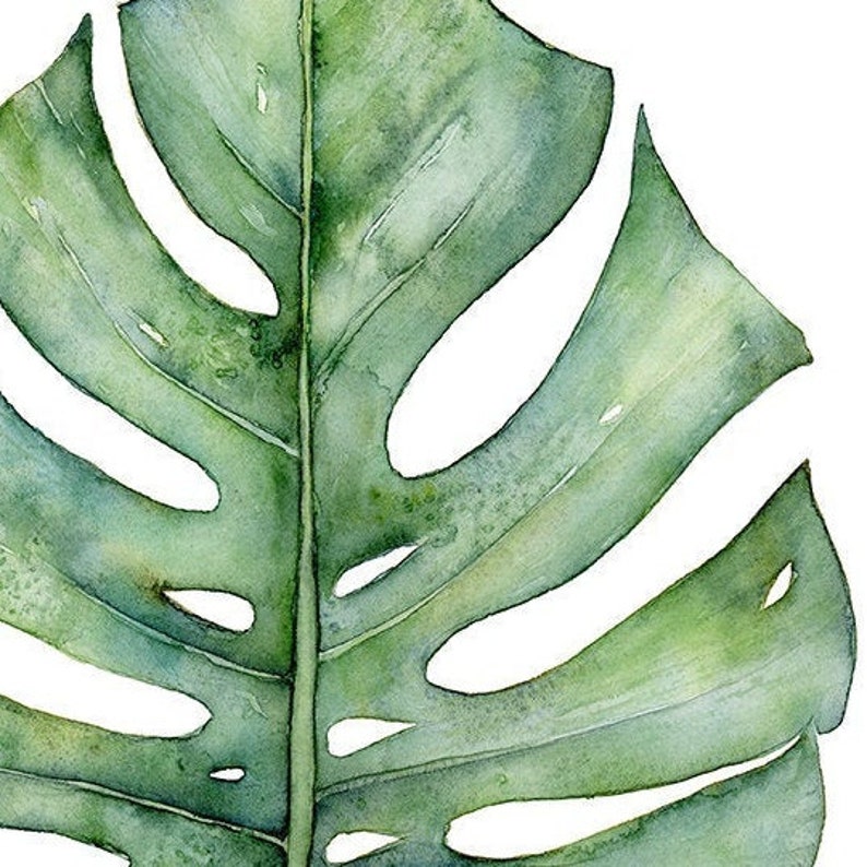 Botanical Art Print Set of 3 Prints in Square Format, 3 Piece Wall Art Banana Leaf, Monstera Leaf and Fern Watercolor Paintings 4x4 to 16x16 image 7