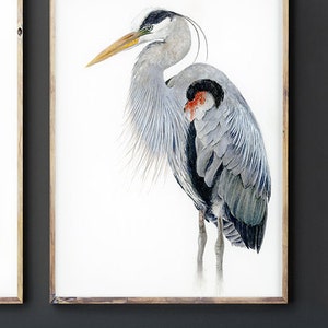 Great Blue Heron Art Watercolor Print, Audubon Bird Print, Bird Art for Walls, Wildlife Decor Gift for Naturalist, Blue Office Wall Art