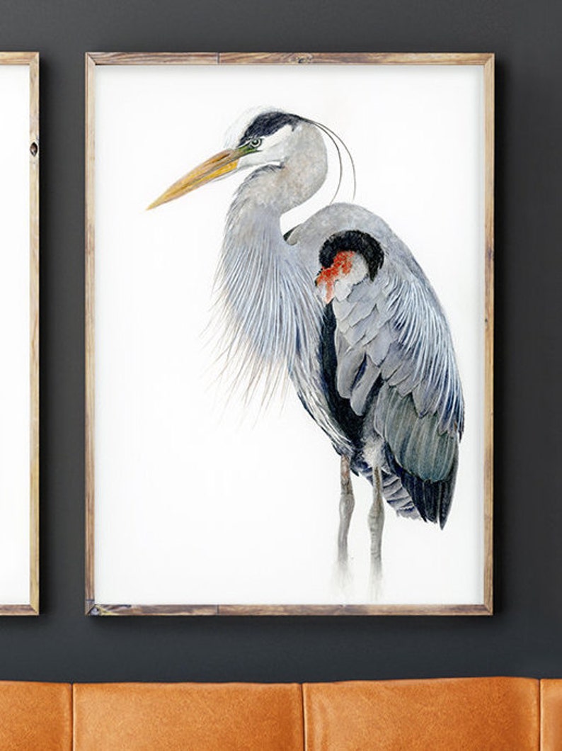 Great Blue Heron Art Watercolor Print, Audubon Bird Print, Bird Art for Walls, Wildlife Decor Gift for Naturalist, Blue Office Wall Art