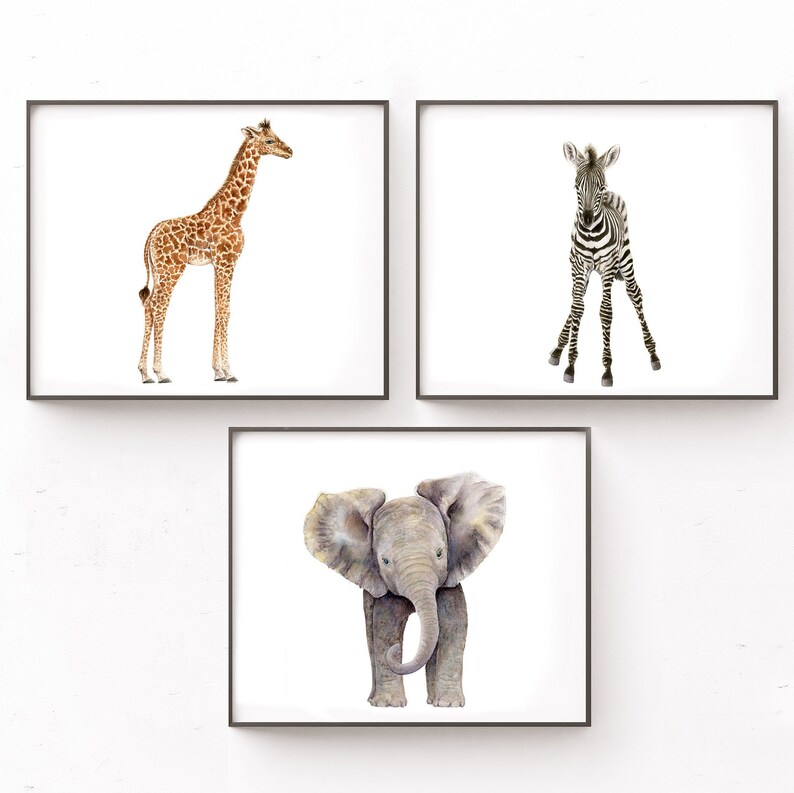 Zebra Elephant Wall Art Nursery Decor Safari Nursery Prints Set Of 3 Baby Shower Gift Watercolor Zoo Animal Art For Kids Room Giraffe Art Collectibles Giclee Minyamarket Com
