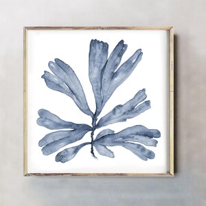 May include: A watercolor painting of a blue seaweed plant on a white background. The seaweed is depicted in a realistic style with intricate details.