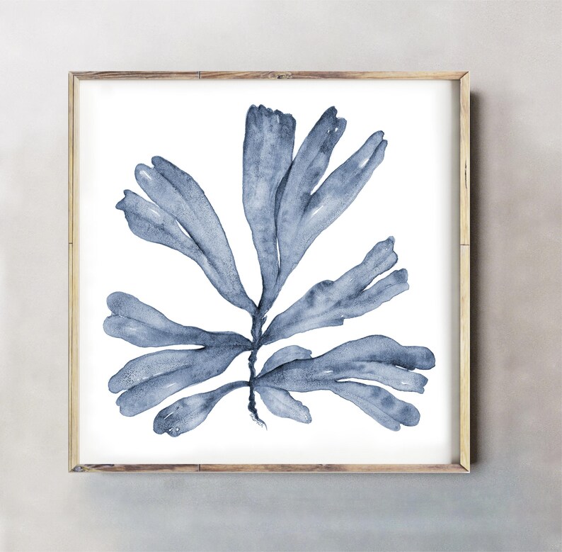May include: A watercolor painting of a blue seaweed plant on a white background. The seaweed is depicted in a realistic style with intricate details.