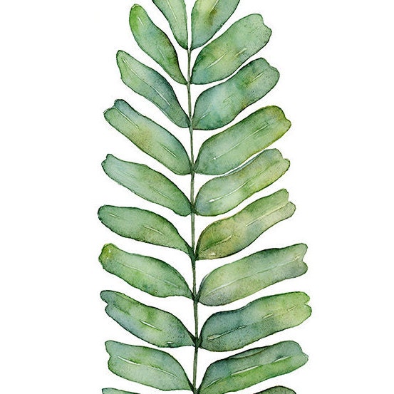 Set of 3 Plant Prints 5x7 Inch Green Botanical Prints | Etsy