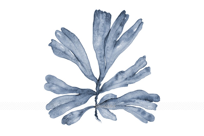 May include: A watercolor painting of a blue seaweed branch with multiple fronds. The seaweed is painted in a light blue color and has a delicate, flowing shape.