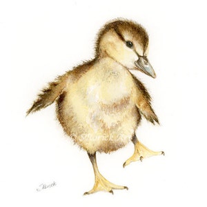 Baby Duck Art Print, Watercolor Painting Woodland Nursery Decor for Baby Room, Boy Girl Nursery Wall Art, Baby Bird Picture, Farmhouse Decor