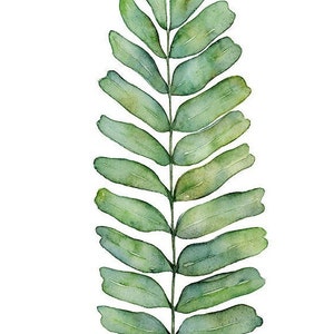 Botanical Art Print Set of 3 Prints in Square Format, 3 Piece Wall Art Banana Leaf, Monstera Leaf and Fern Watercolor Paintings 4x4 to 16x16 image 5
