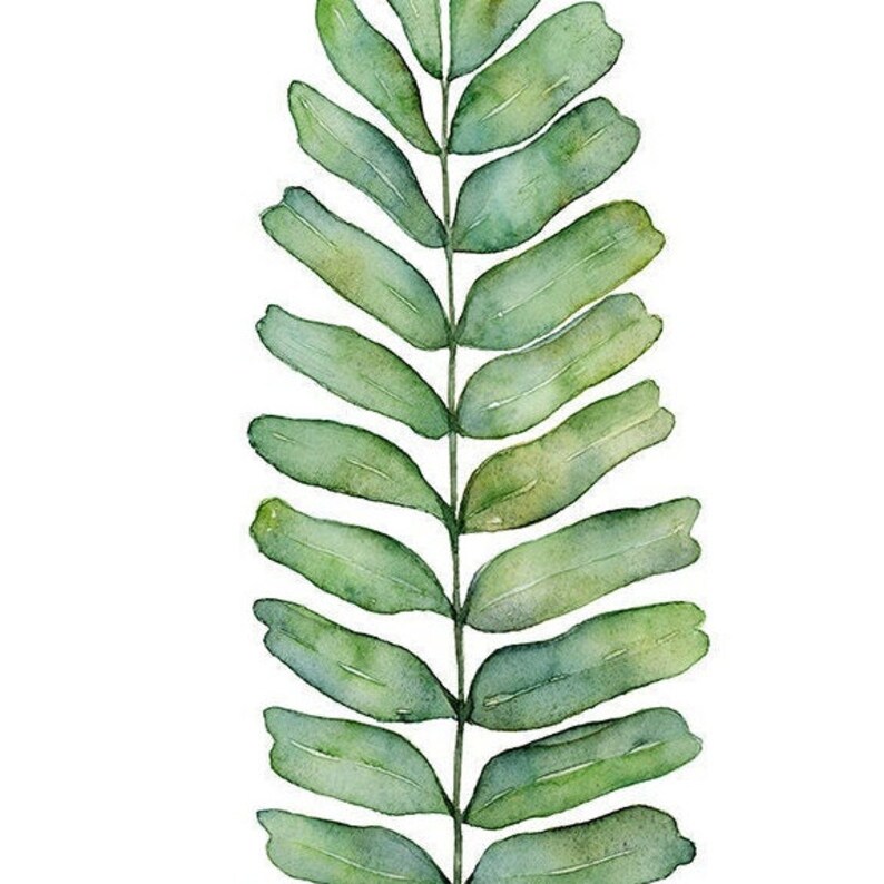 Botanical Art Print Set of 3 Prints in Square Format, 3 Piece Wall Art Banana Leaf, Monstera Leaf and Fern Watercolor Paintings 4x4 to 16x16 image 5
