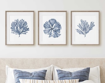 3 Piece Wall Art, Bedroom Wall Decor Over the Bed, Hampton's Style Classic Blue Coastal Decor, Coral Sea Fan Watercolor Artwork for Walls