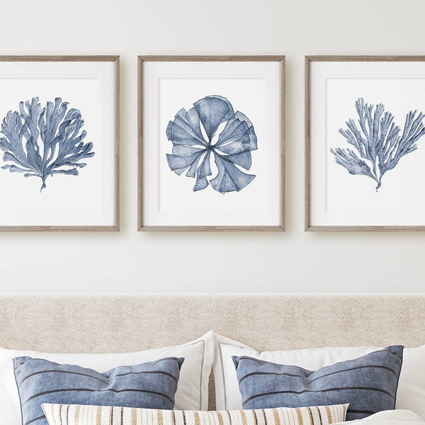 3 Piece Wall Art, Bedroom Wall Decor Over the Bed, Hampton's Style Classic Blue Coastal Decor, Coral Sea Fan Watercolor Artwork for Walls