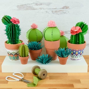 Modelli e tutorial di cactus di carta, modelli di fiori di cactus di carta SVG e PDF, modelli di piante, download immediato