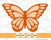 Monarch Butterfly Svg Cut File Svg Files For Cricut Butterfly Silhouette Instant Download By Catching Colorflies Catch My Party