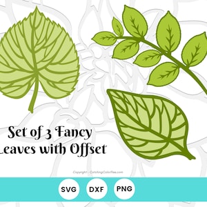 Paper Flower Leaf Templates, Leaf SVG Cut Files with Offset, Leaves for giant paper flowers, Vine and Leaf SVG Cut Files