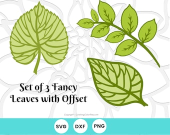 Paper Flower Leaf Templates, Leaf SVG Cut Files with Offset, Leaves for giant paper flowers, Vine and Leaf SVG Cut Files