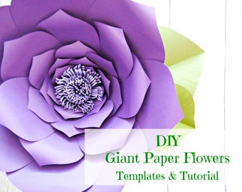 Giant Paper Flower Templates & Tutorials, Flower Wall, Flower templates, Paper Flower Backdrop