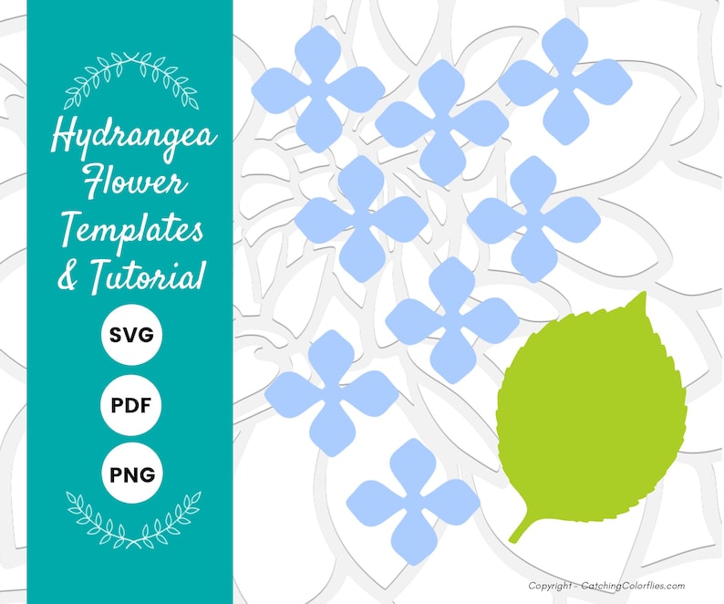May include: A digital download of hydrangea flower templates and a tutorial. The image shows a white background with blue hydrangea flowers and a green leaf. The text "Hydrangea Flower Templates & Tutorial" is in a teal box on the left side of the image. The text "SVG, PDF, PNG" is in white circles on a teal background.