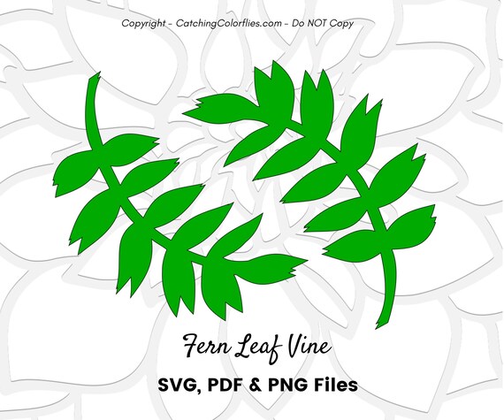 Fern Leaf Svg Cut File Leaf Template Paper Flower Templates Etsy