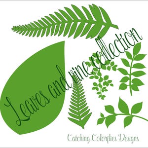 May include: A set of green leaf silhouette cut files for crafting projects. The set includes a large leaf, a fern, a small leaf cluster, and a vine. The text "Leaves and Vine Collection" is written in cursive on the image. The text "Catching Colorflies Designs" is at the bottom of the image.