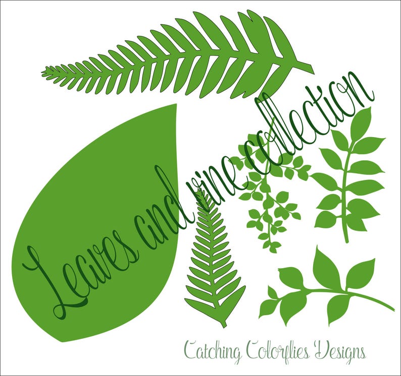 May include: A set of green leaf silhouette cut files for crafting projects. The set includes a large leaf, a fern, a small leaf cluster, and a vine. The text "Leaves and Vine Collection" is written in cursive on the image. The text "Catching Colorflies Designs" is at the bottom of the image.