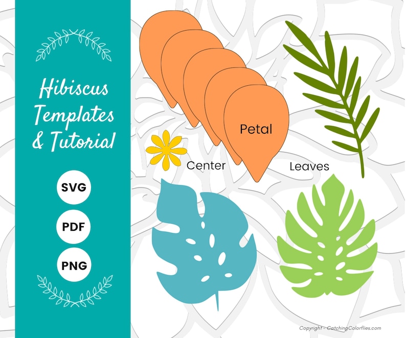 Puede incluir: Plantillas y tutorial de hibisco - Archivos SVG, PDF, PNG. Un diagrama muestra las diferentes partes de una flor de hibisco: p&eacute;talos, centro y hojas.