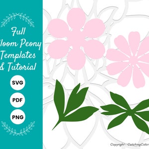 Full Bloom Peony Paper Flower Template & Tutorial, Peony Paper Flower SVG, Printable PDF Flower Templates, Instant Download image 3