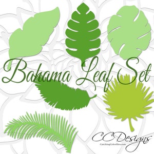 May include: A set of five green paper leaves in various shapes and sizes, including palm, monstera, and fern leaves. The leaves are cut out and ready to be used for crafting or decorating. The text "Bahama Leaf Set" is written in cursive at the top of the image.