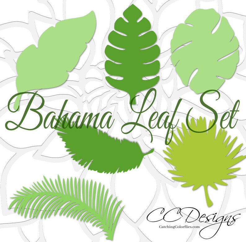 May include: A set of five green paper leaves in various shapes and sizes, including palm, monstera, and fern leaves. The leaves are cut out and ready to be used for crafting or decorating. The text "Bahama Leaf Set" is written in cursive at the top of the image.