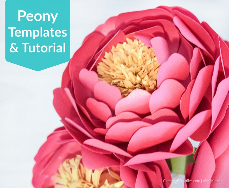 Full Bloom Peony Paper Flower Template & Tutorial, Peony Paper Flower SVG, Printable PDF Flower Templates, Instant Download image 1