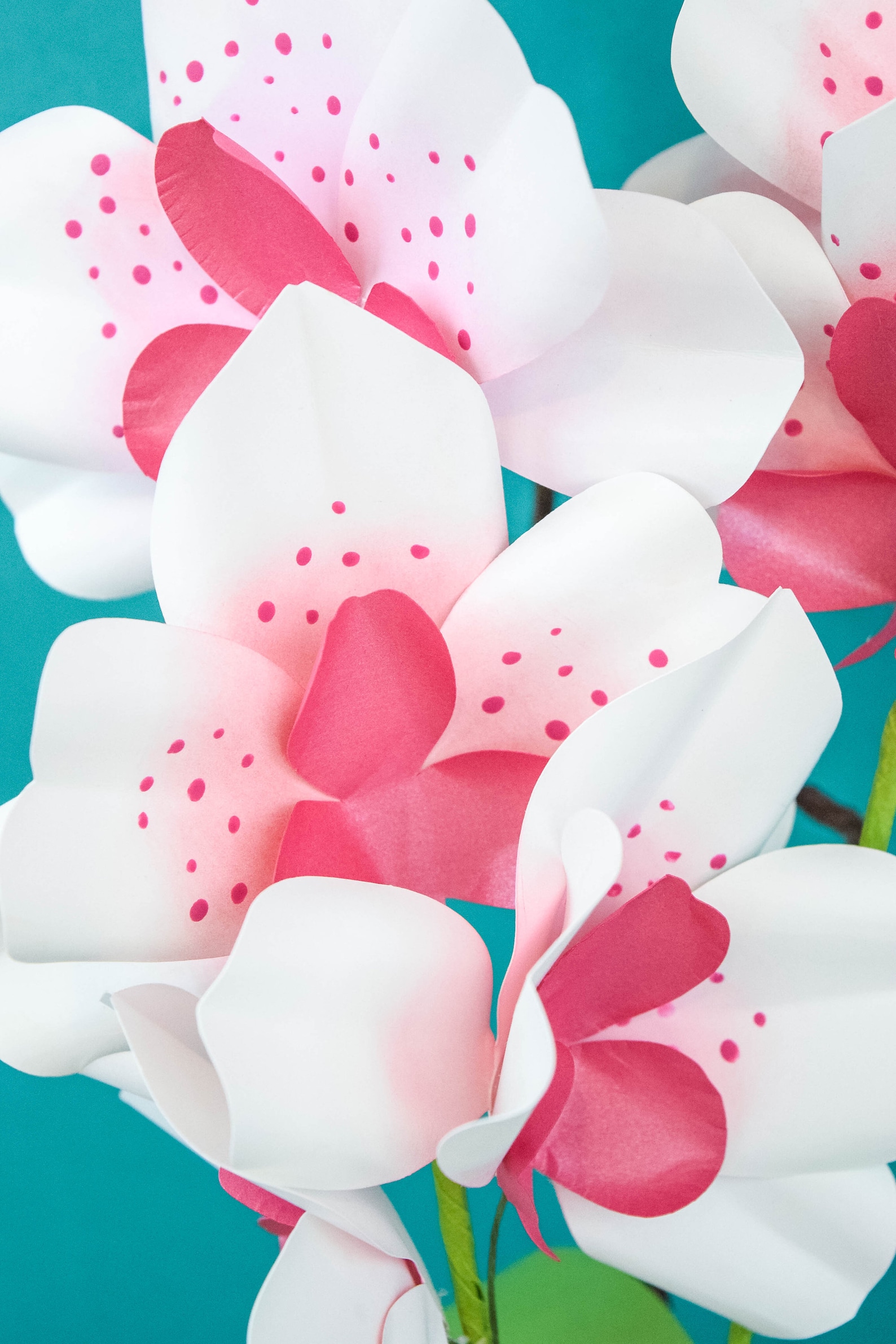 Paper Orchid Templates and Flower Tutorial DIY Paper Orchid | Etsy