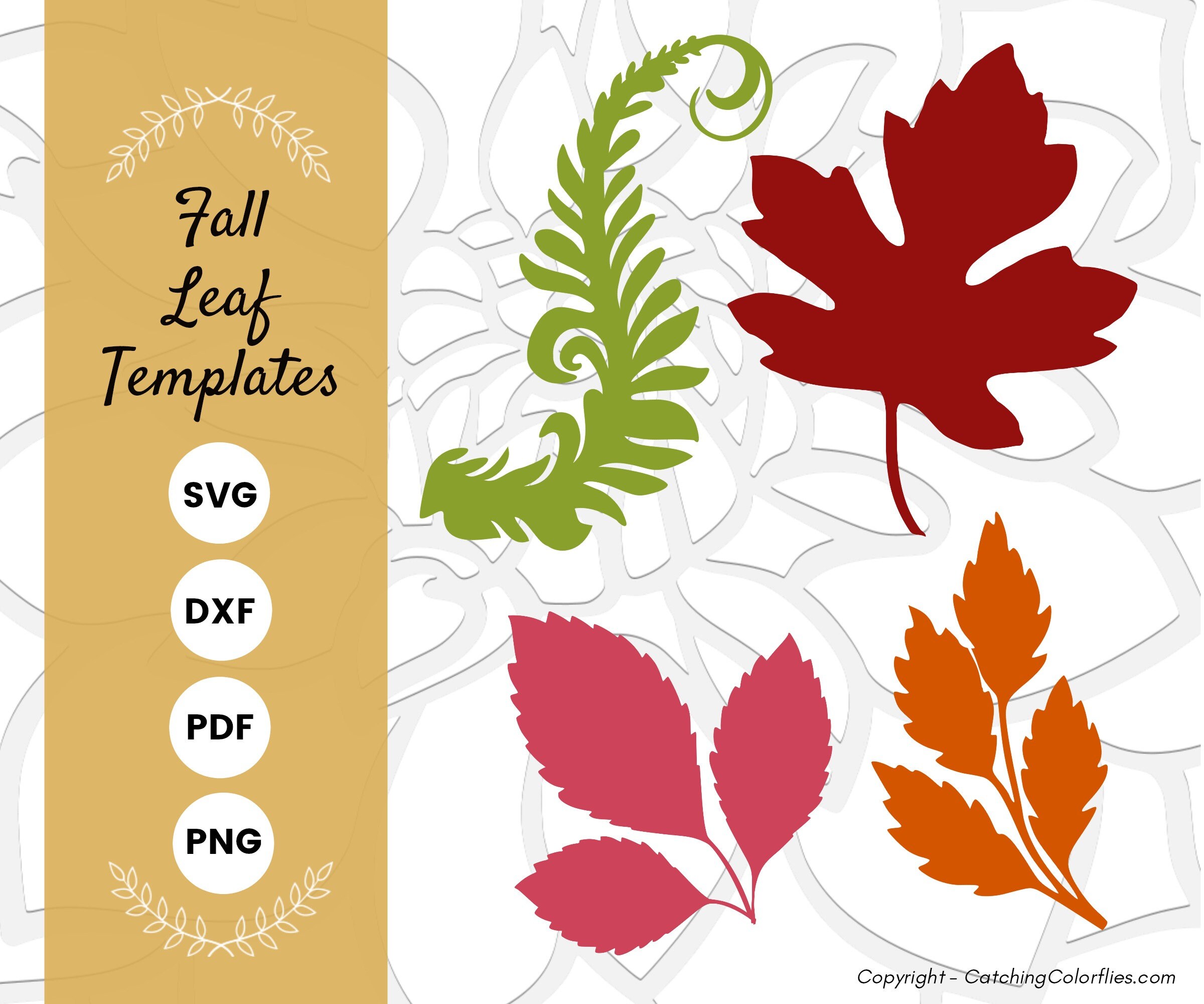 Fall Leaves SVG Bundle, Paper Flower Leaf Templates, Autumn Leaf ...