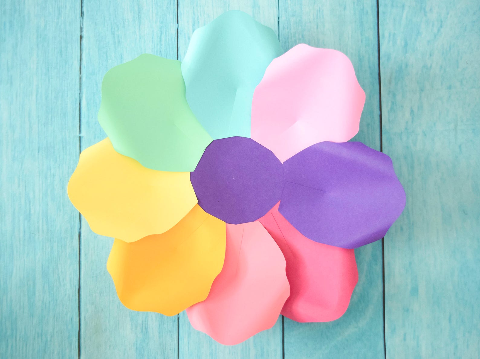 Bases for Large Paper Flowers Base Template for Giant Paper Etsy