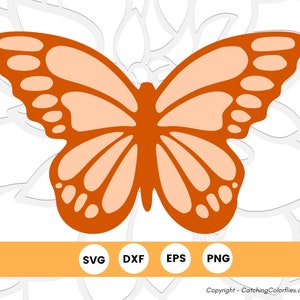 Papillon monarque SVG coupe fichier, fichiers SVG pour Cricut, Silhouette de papillon, téléchargement immédiat