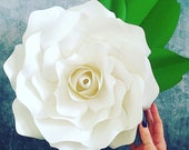Il_170x135