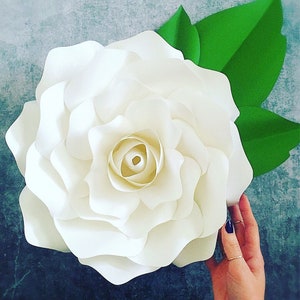May include: A large, white paper flower with multiple layers of petals. The flower is in focus, and a green leaf is partially visible in the background.