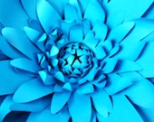 Il_170x135