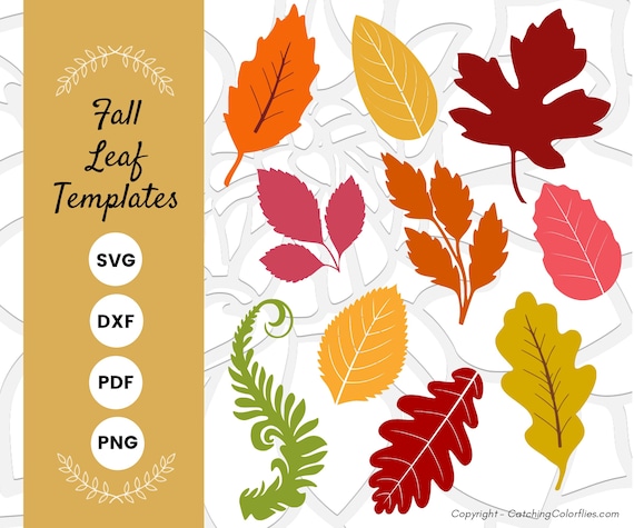 Download Fall Leaves Svg Bundle Paper Flower Leaf Templates Autumn Etsy