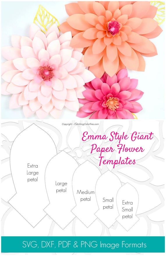 Set of 4 Large Flower Templates - Paper Flower Patterns- PDF and SVG -  Catching Colorflies