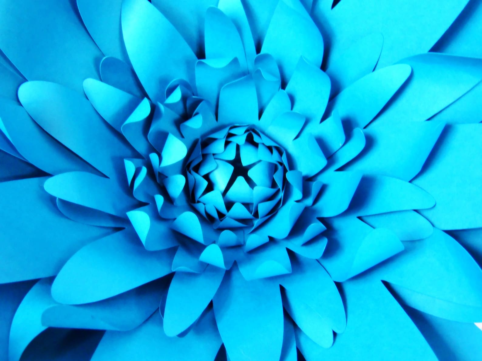 Printable Giant Flower Templates DIY Giant Paper Flowers PDF - Etsy