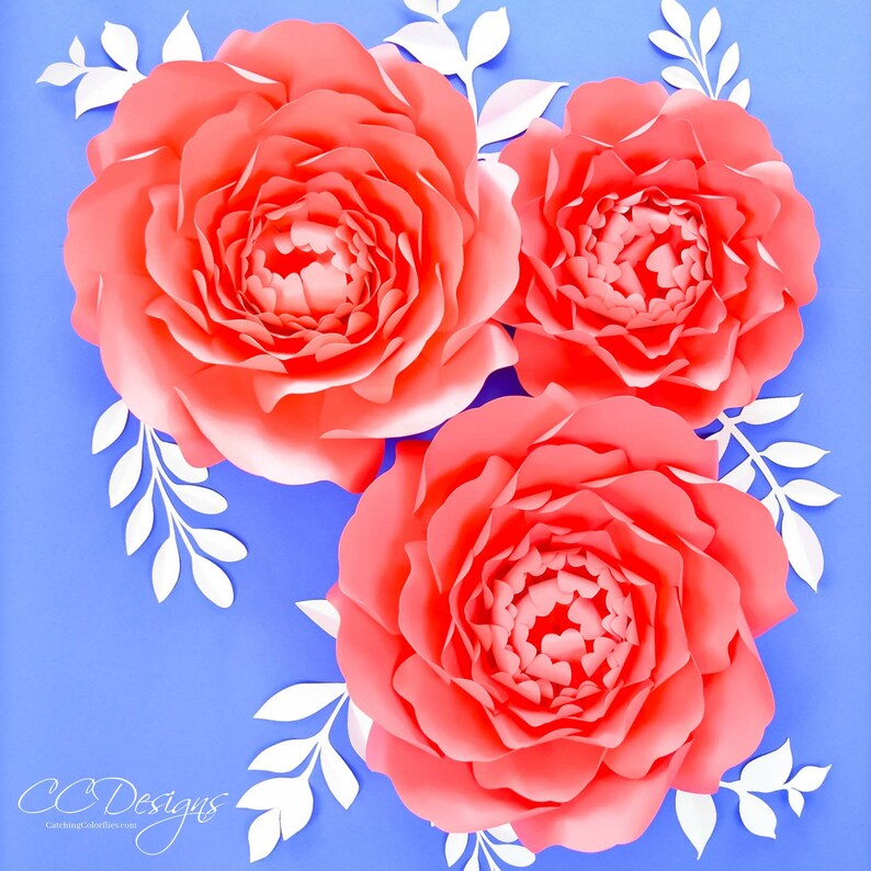 Giant Paper Flower Backdrop Large Paper Flower Templates Etsy