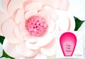 Large Pink Paper Flowers, Flower Templates, DIY Giant Flower Tutorial, Paper Flower Kit, Wedding Backdrop, Flower Wall