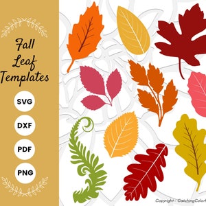 Fall Leaves SVG Bundle, Paper Flower Leaf Templates, Autumn Leaf Thanksgiving SVG Set,, SVG Dxf Eps Png