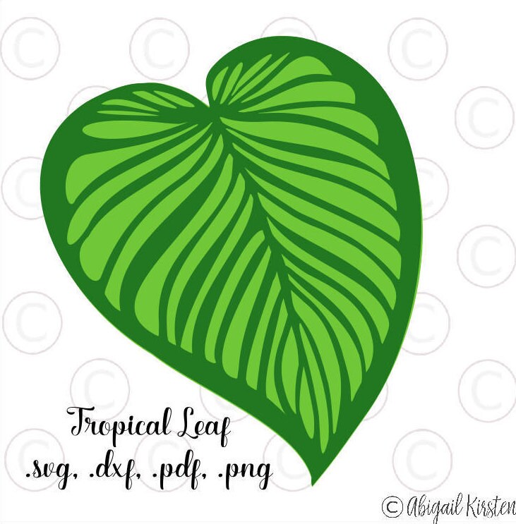 Download Large Tropical Palm Leaf SVG Cut Files Leafy Cut Files ...
