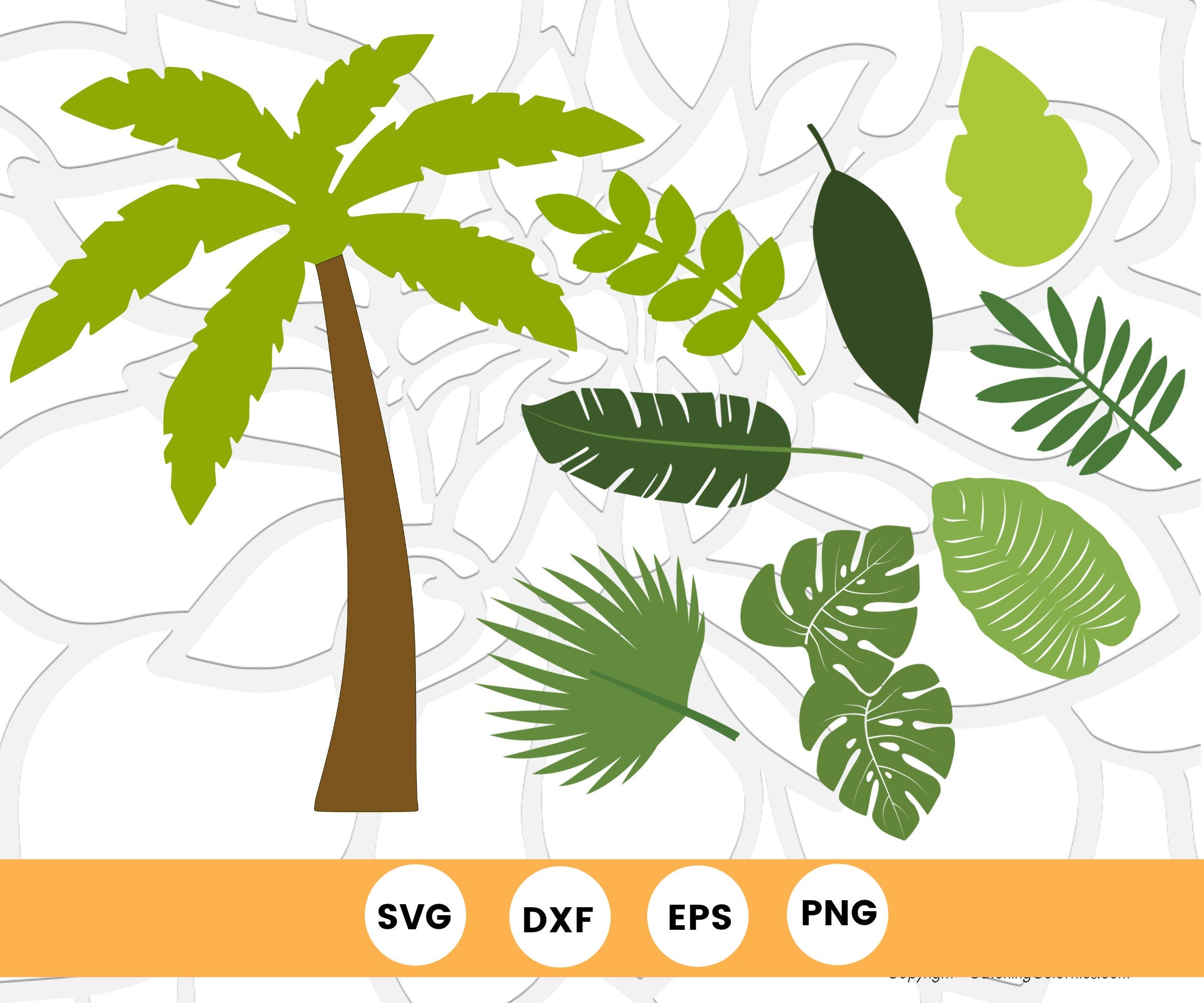 Jungle Safari Animal SVG Cut Files Safari Jungle Baby ...