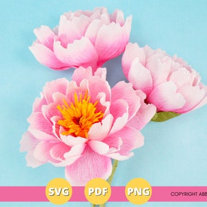 Modello fai da te per fiori di carta crespa di peonia, file SVG e PDF stampabili per fiori di carta di peonia, modelli fai da te per fiori di carta, download immediato