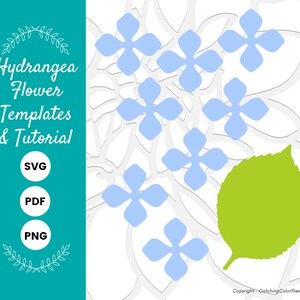 May include: A digital download of hydrangea flower templates and a tutorial. The image shows a white background with blue hydrangea flowers and a green leaf. The text "Hydrangea Flower Templates & Tutorial" is in a teal blue box on the left side of the image. The text "SVG, PDF, PNG" is in white circles on a teal blue background.