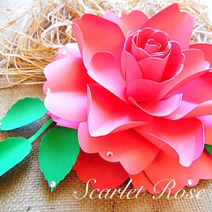Large Paper Rose flower Templates and SVG files, DIY paper flower decor, Wedding reception Decor, Paper flower tutorial & templates
