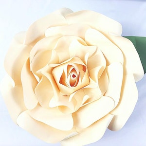 Sjablonen voor grote papieren roos en zelfstudie gigantische papieren bloemen Papieren rozen Afdrukbare papieren bloemsjablonen, direct downloaden
